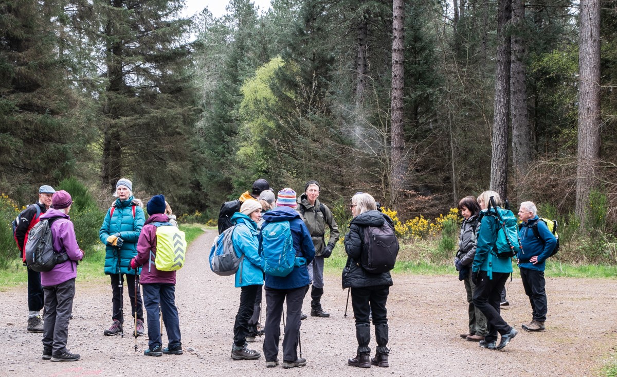 tentsmuir2