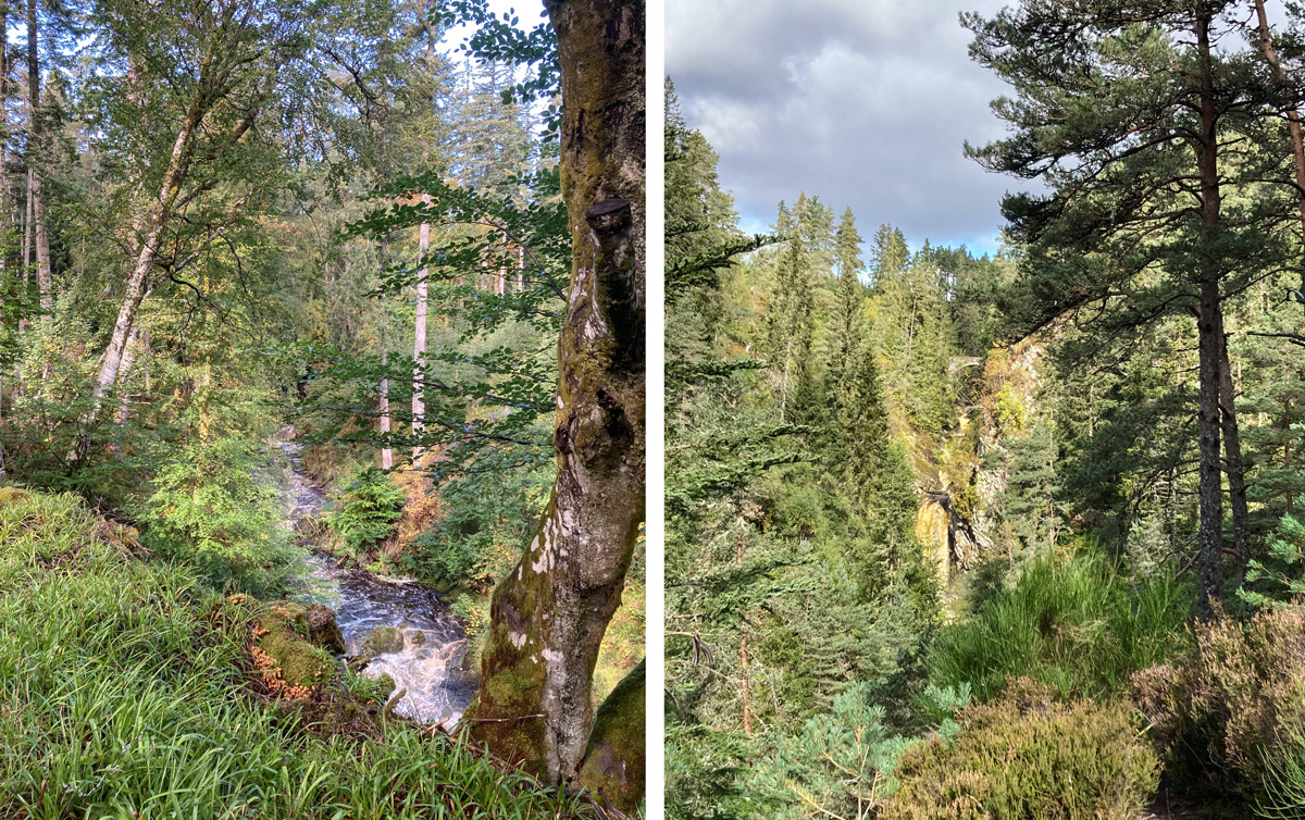 bruar3